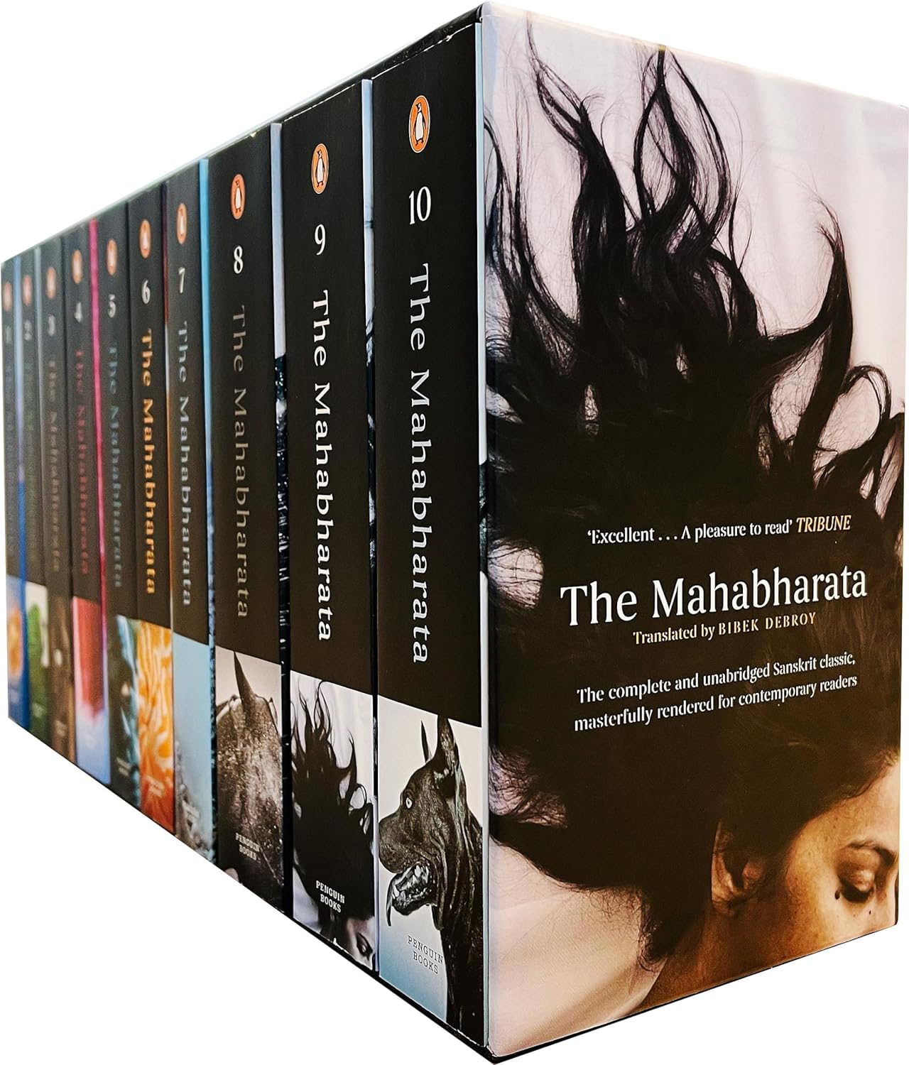 ../../../_images/Debroy-Bibek--The-Mahabharata.jpg