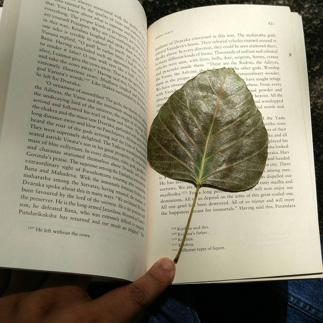 ../../_images/harivamsha-03.jpg