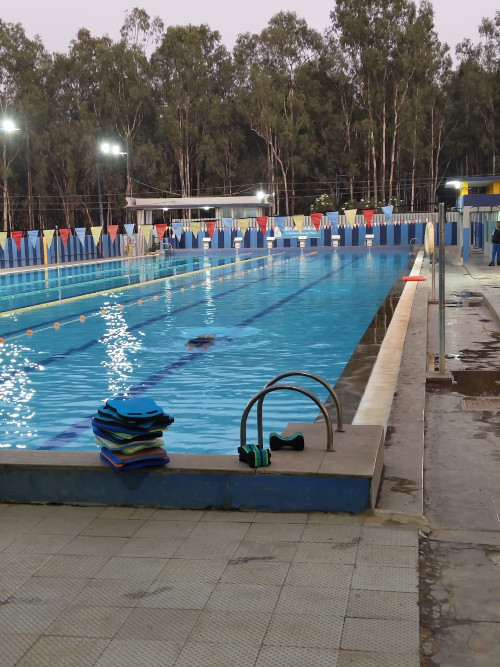 Zee Swim Academy